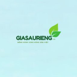 gia-sau-rieng