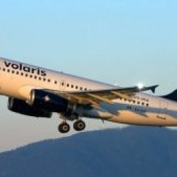 numero-de-telefono-de-volaris-24-horas-en-espanol-1-860-590-8822