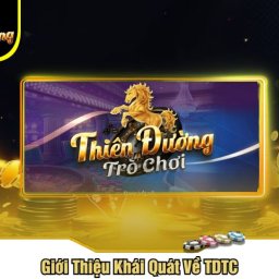 tdtc-nha-cai-tdtc-uy-tin-chat-luong-hang-dau-vn