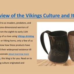 what-are-the-favorite-products-of-vikings