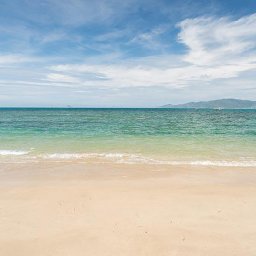 beach-backdrops