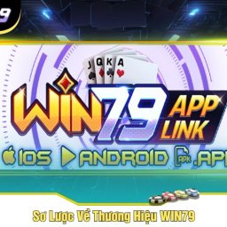 win79-nha-cai-truc-tuyen-hang-dau-thi-truong-2024