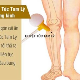 huyet-tuc-tam-ly-la-gi-vi-tri-huyet-tuc-tam-ly-nam-o-au