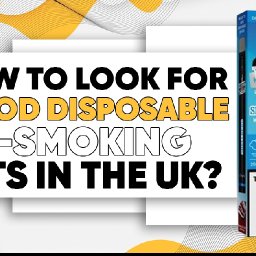 how-to-look-for-good-disposable-e-smoking-kits-in-the-uk