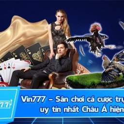 vin777-link-dang-nhap-dang-ky-nha-cai-vin777-nhanh-nhat