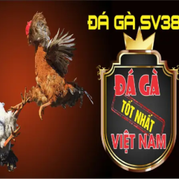 sv388-link-vao-sv388com-khong-bi-chan-da-ga-sv388