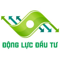 dong-luc-dau-tu