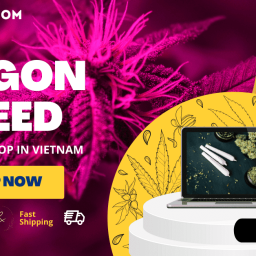 saigon-weed-best-online-weed-shop-in-saigon-city-vietnam