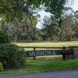 muskoka-farm-australias-premium-agistment-farm-for-break-in-pre-training-spelling