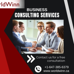 hire-a-professional-business-coach-for-business-consulting-services-in-toronto