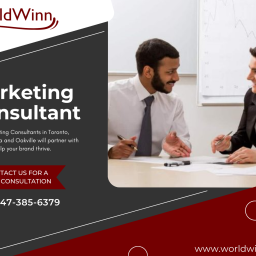 hire-a-professional-marketing-consultant-for-create-business-plans-mississauga