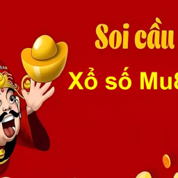 soi-cau-xo-so-mu88-kham-pha-soi-cau-mu88-chuan-nhat