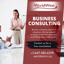 5-major-reasons-to-hire-a-professional-business-and-marketing-consultant-in-mississauga