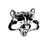 DeadRaccoon